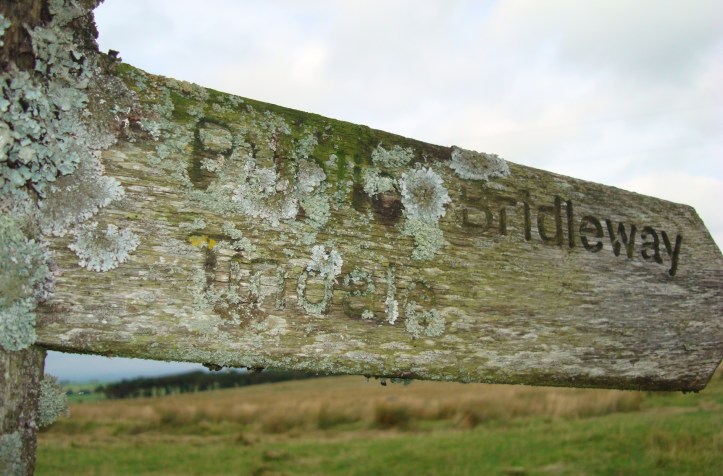tindale-sign