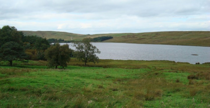 tindale-tarn