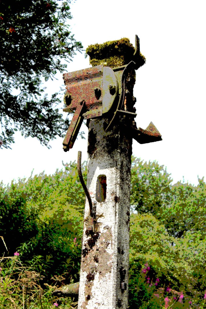 Signal High Peak Trail.jpg