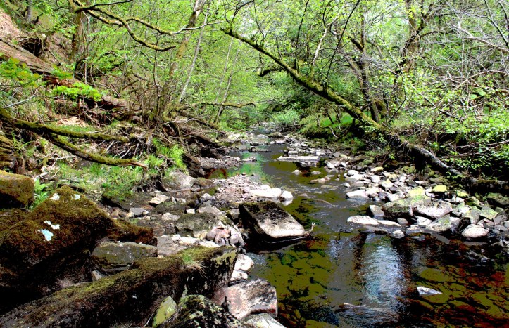 Beldon Burn.jpg
