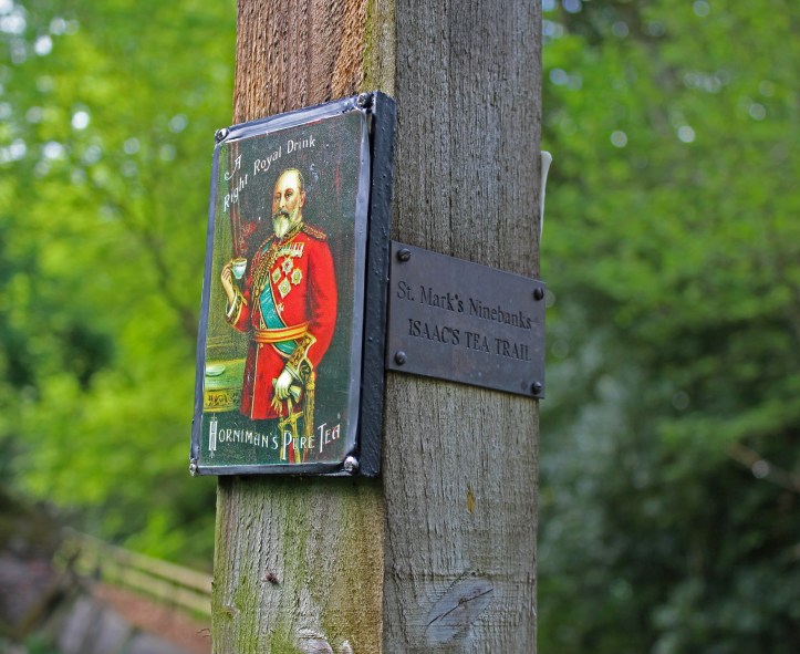 Isaacs TT day4.5.5.JPG