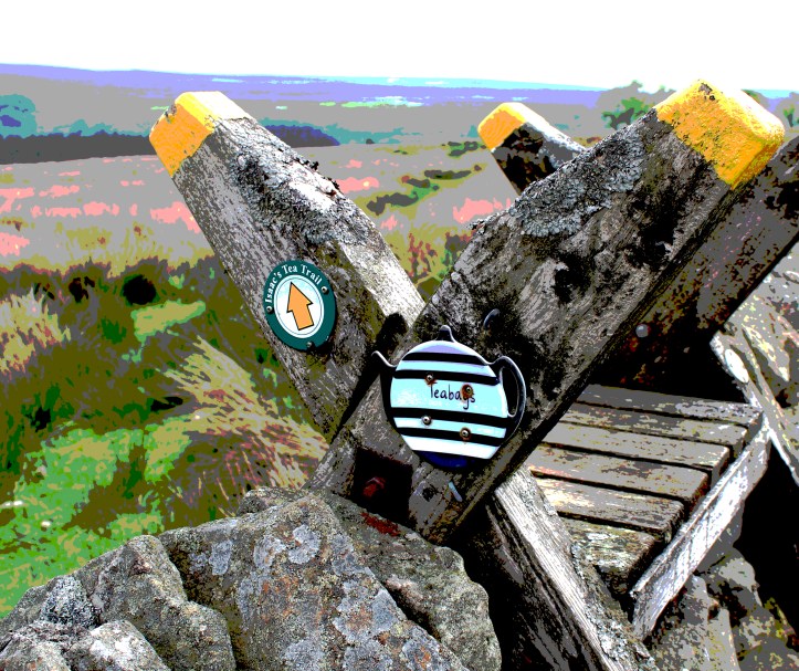 Isaacs TT day4.7.JPG